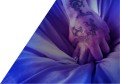 Durex Extra Safe Prezerwatywy pogrubione mocne nawilżane 8 szt.
